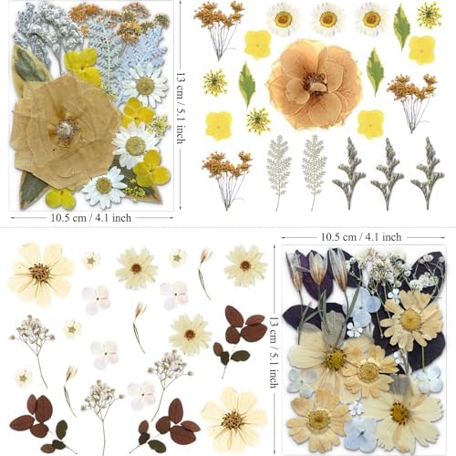 MIKIYA 90Pcs Dried Pressed Flowers for Resin Molds, Vintage White Bulk Real Natural Dry Floral for DIY Art Crafts, Epoxy Jewelry, Candle, Soap Making, Nails Decor, Phone Case