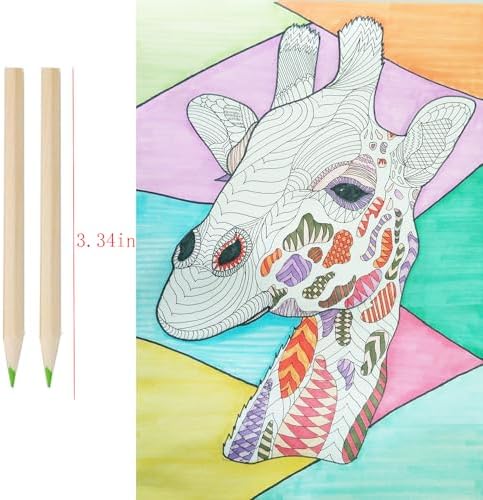 4Pack Mini Drawing Colored Pencils for Kids with Sharpener, Portable Color Pencils in Tube Drawing Pencil Bulk for Children Adults Artists Writing Sketching Painting Classroom School Supplies.