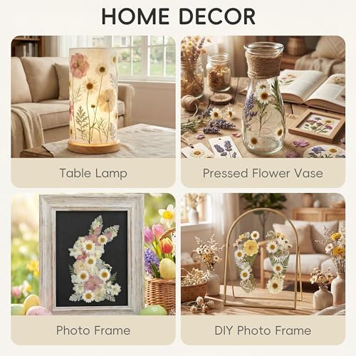 LUXEEASE 100P White Foliage Mix Dried Pressed Flowers