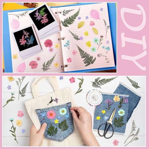 Nuanchu Pastel Real Dried Pressed Flowers for Craft Resin Mold DIY