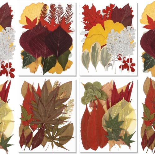 Timtin 84 Pcs Dried Pressed Leaves Flowers for Resin, Fresh