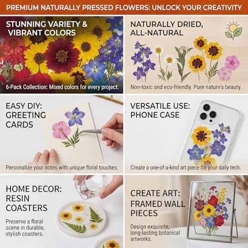 Dried Flowers for Resin, 106pcs Natural Flowers and Leaves Compressed