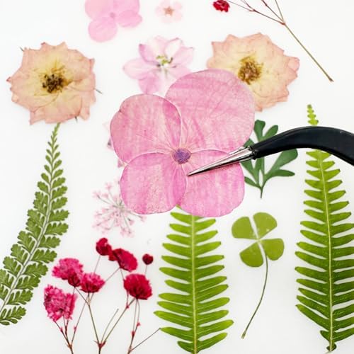 Cayway Natural Dried Pressed Flowers, Natural Dried Pressed Leaves, Natural Dry Flowers Leaves with Tweezers, Scissors for Pressed Leaf Art Craft DIY Embellishment Decorations ( Green, Pink)