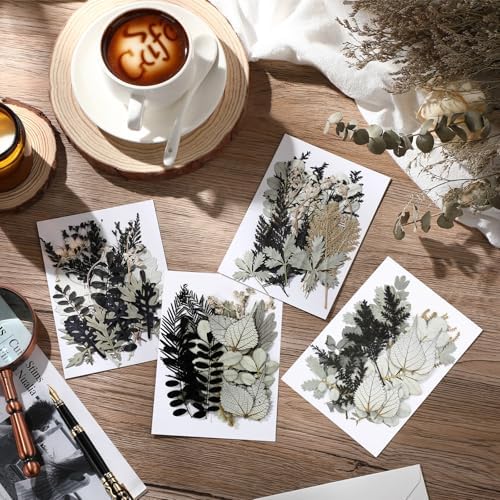 Timtin 84 Pieces Dried Pressed Leaves Dried Flowers for Resin Dried Leaves for Resin Mini Dried Flowers for Crafts Dried Greenery Assorted for Art DIY Handmade Bookmarks 4 Bags (Stylish Style)