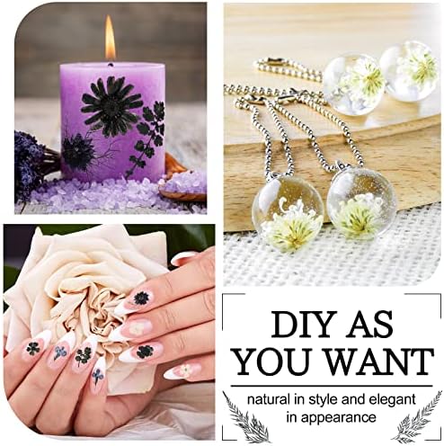 Nuanchu Black White Dried Pressed Flowers for Craft Resin, Halloween DIY