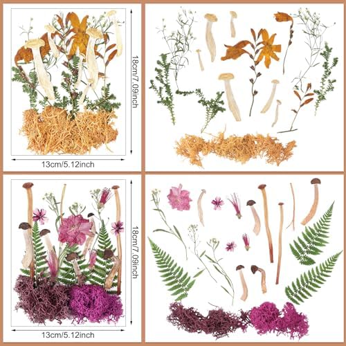 Nuanchu Dried Flowers Pressed Mushrooms for Resin Molds Crafts DIY Supplies