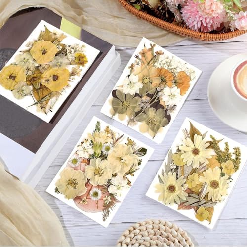 Nuanchu Boho Beige Dried Pressed Flowers for Craft Resin Mold, Vintage