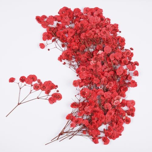 50Pcs Red Babys Breath Dried Pressed Flowers for Crafts,Xinxinran Dry Flowers Kit for Wedding Invitation Accessories,Bookmark,Jewelry Molds,Candle Making Supplies,Soap,Frame,Cakes