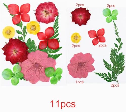 Cayway Natural Dried Pressed Flowers, Natural Dried Pressed Leaves, Natural Dry Flowers Leaves with Tweezers, Scissors for Pressed Leaf Art Craft DIY Embellishment Decorations ( Green, Pink)