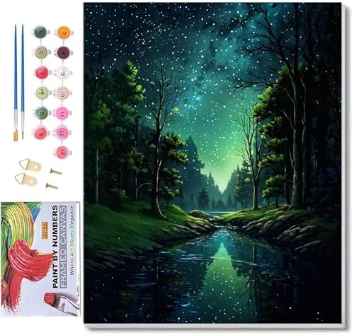ldazao Starry Night Framed Paint By Numbers Kit for Adults Beginner Forest Adult Paint By Number Artist Kits Canvas DIY Oil Painting for Gift Home Wall Decor 9.5x12 Inch