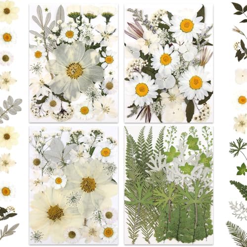 LUXEEASE 100P White Foliage Mix Dried Pressed Flowers