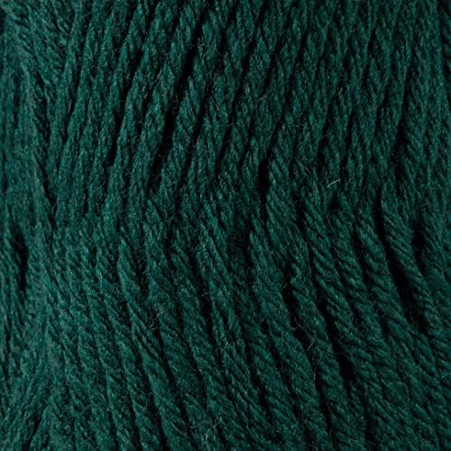 S Sensy Roving - Premium Acrylic&Wool Blend Yarn, Forest Green, 131 Yards