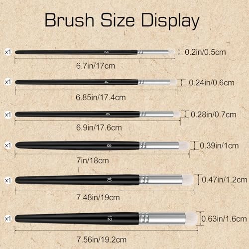 Dry Brush Set, 6 Different Sizes