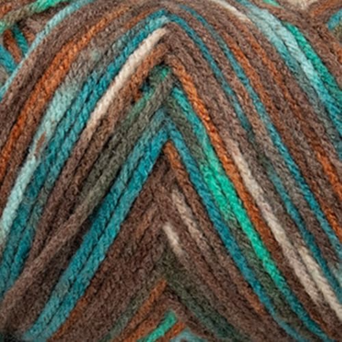 Craft County Size 4 (Medium) 100% Acrylic Fiber Yarn – Variety of Color and Pattern Options – Great for Crochet, Knitting, and Weaving (Reef)