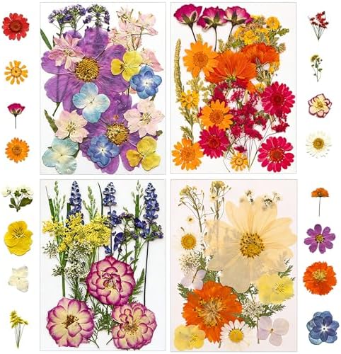 173 pcs Dried Flowers for Resin, Natural Flowers and Leaves Kit with Butterfly Stickers， Vacuum Sealed DIY Pressed Flowers for Jewelry Molds, Candle Soap Making, Scrapbook, Nail Art (Colorful-G)