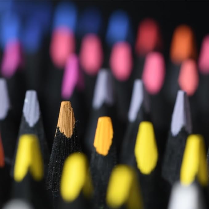 Faber-Castell Black Edition Colored Pencils, 1 Count (Pack of 24)
