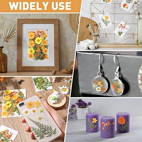 Nuanchu Real Dried Pressed Flowers for Craft Resin Molds DIY, Orange Yellow