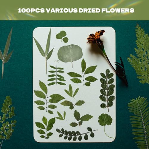 63 Pcs Dried Flowers for Resin 21 Styles Pressed Leaves