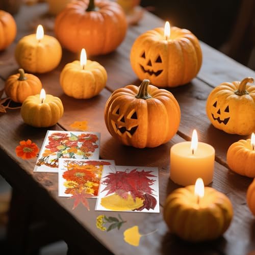 Janinka 108 Pcs Fall 3D Pumpkin Silicone Candle Molds Gift Set DIY Craft Resin Pumpkin Molds Making Kit with Maple for Autumn Craft Making Fondant Soap Candy Clay Tools Home Decor