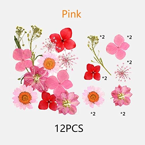 Cayway Real Pressed Flowers Dry, 4 Pack Pressed Flowers Colorful Real Pressed Flowers for Resin Scrapbooking DIY Art Crafts, Epoxy Resin Jewelry, Soap Making