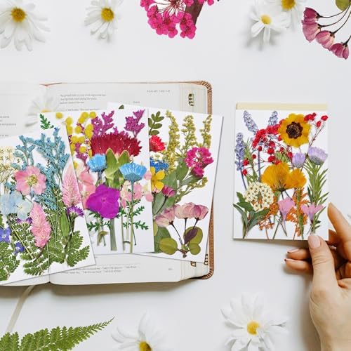 Dried Flowers 72pcs Natural Pressed Flowers and Leaves