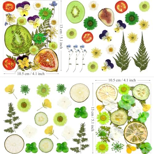 MIKIYA 75Pcs Pressed Dried Flowers Fruits for Resin Molds, Real Natural Bulk Assorted Dry Floral Leave for DIY Art Crafts, Epoxy Jewelry, Candle, Soap Making, Nails Decors Gifts