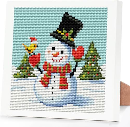 Christmas Snowman Stamped Cross Stitch Kits for Adults Beginners with Frame