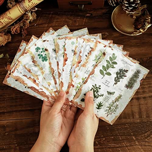 Dizdkizd Plant Themed Washi Stickers for Journaling Scrapbooking Planner Sticker Ephemera Sticker Book Junk Journal Stickers for Adults - 20 Sheets (180 Pieces)