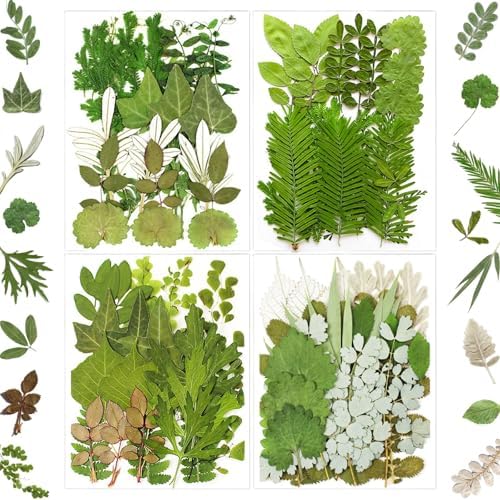 MIKIYA 84Pcs Pressed Dried Leaves for Resin Molds, Assorted Real Natural Bulk Dry Flowers for DIY Art Crafts, Epoxy Jewelry, Candle, Soap Making, Nails Decors Gifts