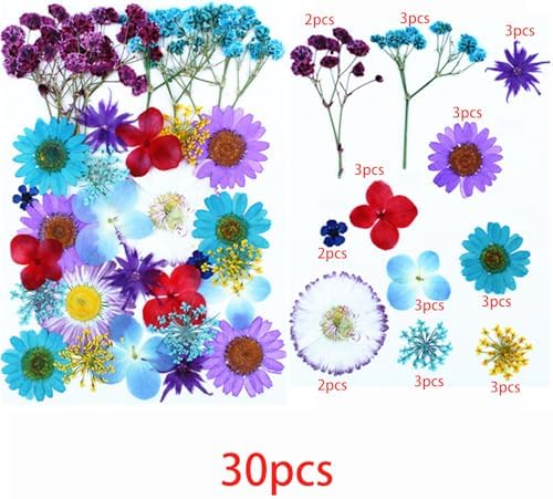 Cayway 4 Pack Pressed Flowers Natural Dried Flowers Colorful Resin Flowers Real Pressed Flowers for Resin Scrapbook DIY Art Crafts, Epoxy Resin Jewelry, Card Making Supplies, Style H