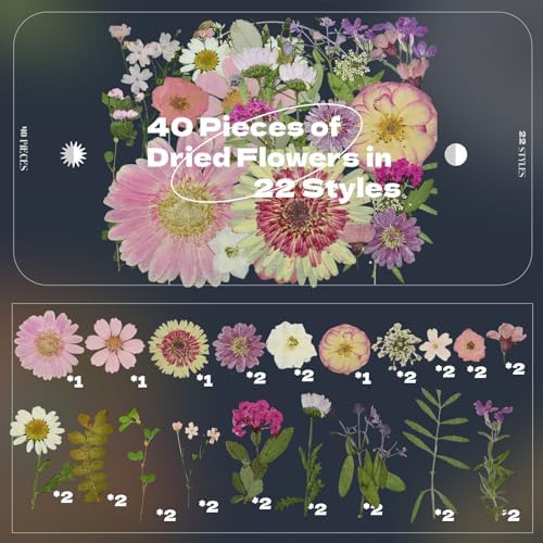 White Dried Pressed Flowers, 40Pcs Real Nature Flowers Set with Tweezers