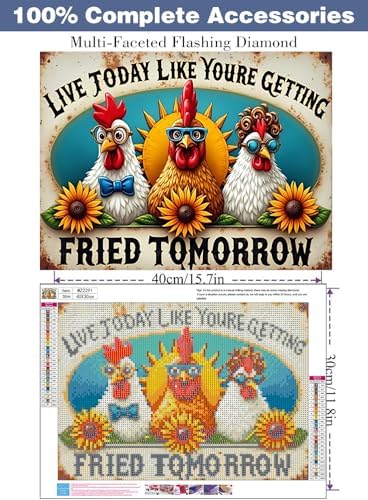 ijbnhd Chicken Diamond Art Kits for Adults 16x12in