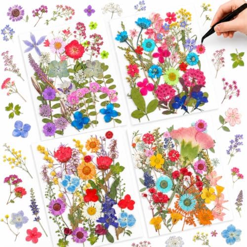 Nuanchu Vibrant Tiny Dried Pressed Flowers Wildflowers for Craft Resin Mold