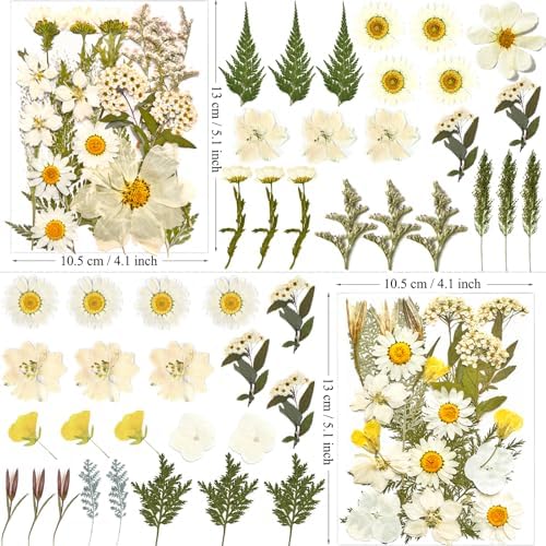 MIKIYA 90Pcs White Dried Pressed Flowers for Resin Molds, Real Natural Bulk Dry Floral Leaves for DIY Art Crafts, Epoxy Jewelry, Candle, Soap Making, Nails Decors Gifts