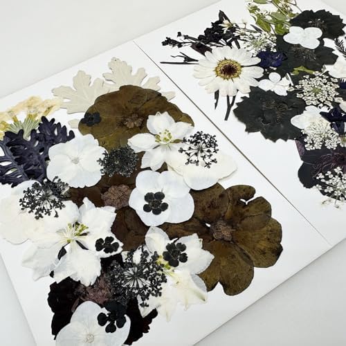 Cayway 2 Pack Pressed Flowers Natural Dried Flowers Black Resin Flowers Real Pressed Flowers with Butterfly Sticker for Resin Scrapbook DIY Art Crafts, Epoxy Resin Jewelry Supplies, Style E
