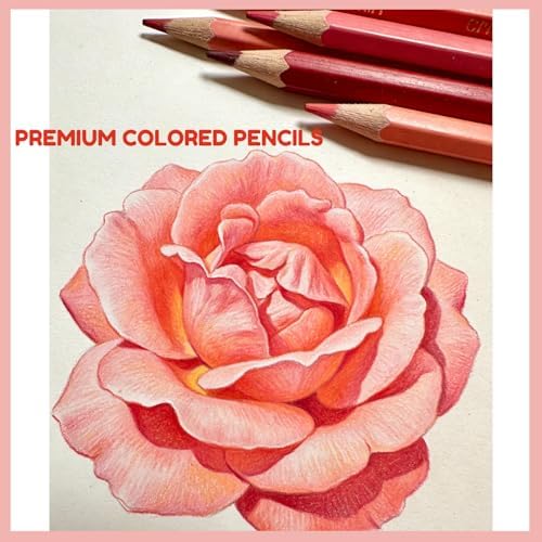 Adhere 25pcs Checking Pencils Erasable colored Pencils Pre-Sharpened #2 HB,for Checking Tests Grading,Map Coloring, editing Office Favors,including a Free sharpener. (Pink Red)