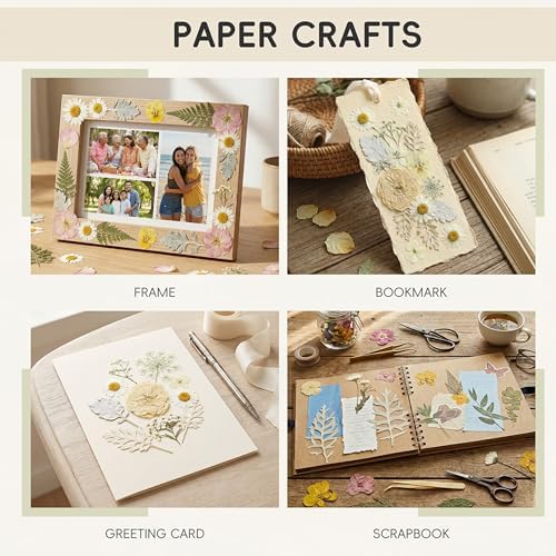 LUXEEASE 80P White Pink Dried Pressed Flowers | Ivory white palette, fits any project, blush butter hints, for wedding resin jewelry scrapbook frame decor, tweezers included