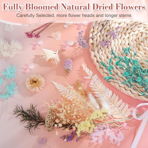 Real Dried Flowers 100% Natural Dried Flowers, Mixed Colors Dried Leaf Flowers for DIY Arts and Crafts Candles Resin Jewelry Nail Pendant Cards Scrapbooking Wedding Home Decoration (Blue)