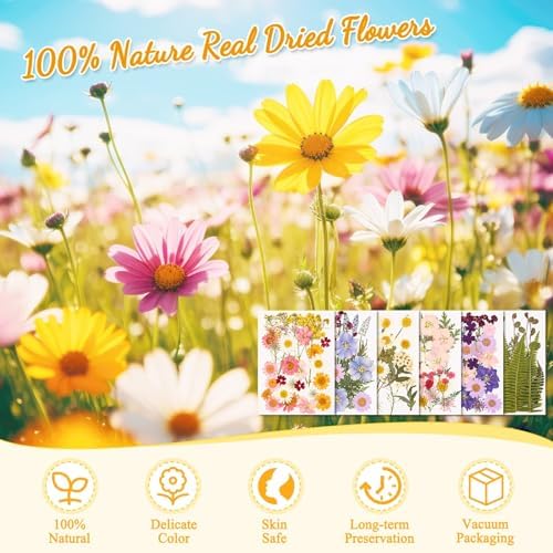Evatage 124 Pcs Real Dried Pressed Flowers and Leaves for Resin Crafts