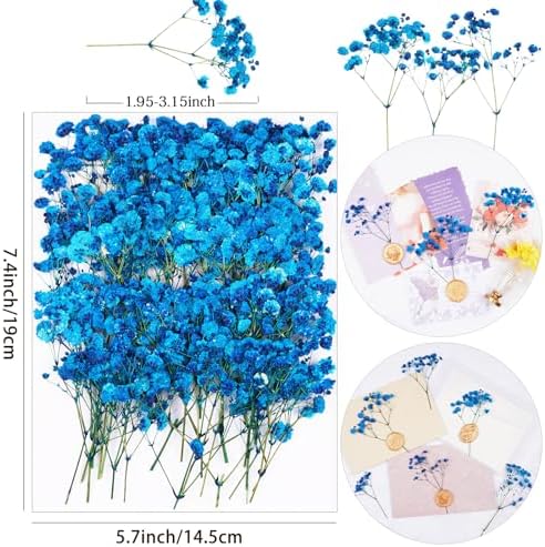50Pcs Blue Babys Breath Dried Pressed Flowers for Crafts,Xinxinran Dry Flowers Kit for Wedding Invitation Accessories,Bookmark,Jewelry Molds,Candle Making Supplies,Soap,Frame,Cakes