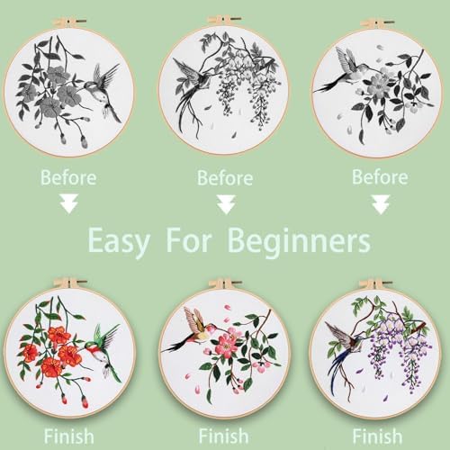 Ohcol 3 Sets Hummingbird Embroidery Kit for Beginners Needlepoint Kits for Adults Cross Stitch Kits with Clear Instructions,Easy Funny Stamped Bird Patterns Fabric Hand Crafts