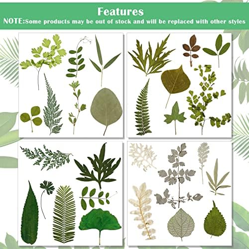 Timtin 84 Pcs Dried Pressed Leaves Flowers for Resin, Classic