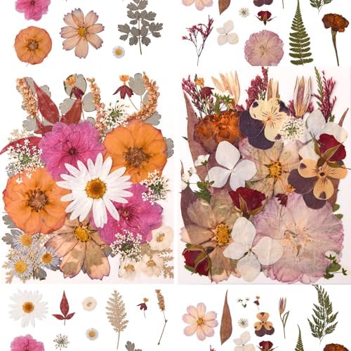 100 PCS Cream Color Pressed Dried Flowers & Leaves | Real Natural Dried Flowers, With Tweezers, For Resin, Candle, Jewelry, Scrapbooking & DIY Crafts