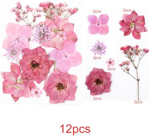 Cayway Natural Dried Pressed Flowers, Natural Dried Pressed Leaves, Natural Dry Flowers Leaves with Tweezers, Scissors for Pressed Leaf Art Craft DIY Embellishment Decorations ( Green, Pink)