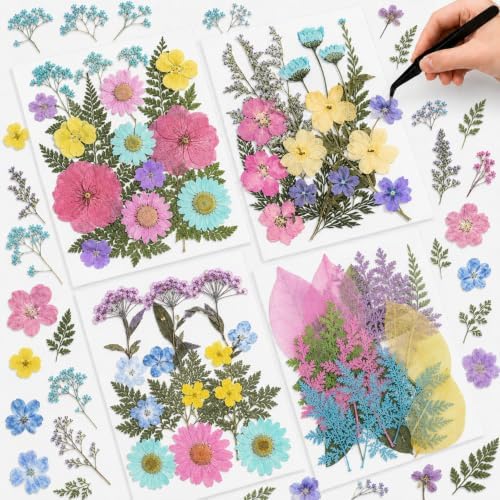 Nuanchu Pastel Real Dried Pressed Flowers for Craft Resin Mold DIY