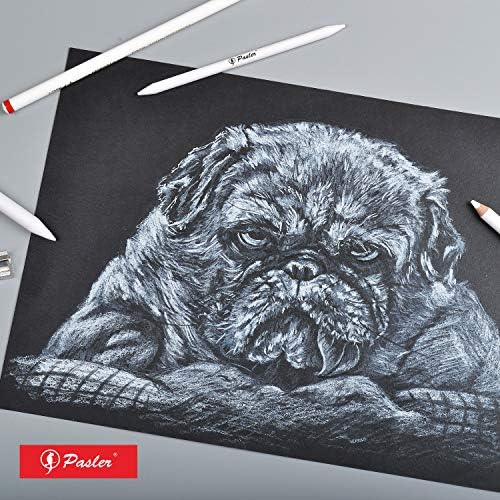 Pasler white charcoal pencils set - Sketch Highlight white pencils for drawing, sketching, shading, blending (12 pack)