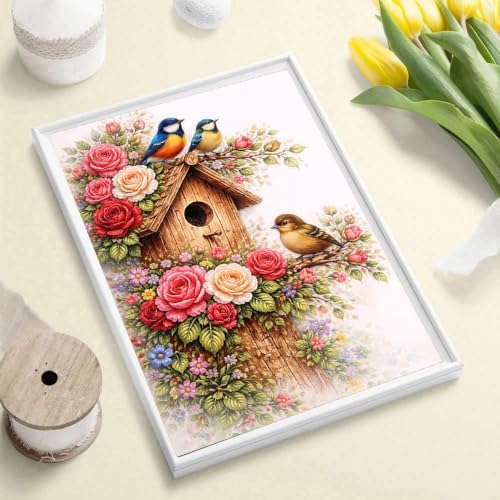 Diamond Art Kits for Adults, Birds Diamond Art Painting Kits for Adults