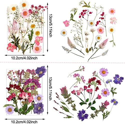Nuanchu Dried Pressed Flowers for Resin,Delicate Style,Bright Colors