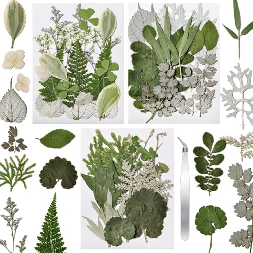 63 Pcs Pressed Leaves, 21 Styles Dried Flowers for Resin