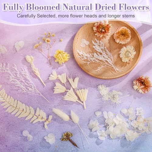 Real Dried Flowers 100% Natural Dried Flowers, Mixed Colors Dried Leaf Flowers for DIY Arts and Crafts Candles Resin Jewelry Nail Pendant Cards Scrapbooking Wedding Home Decoration (White)